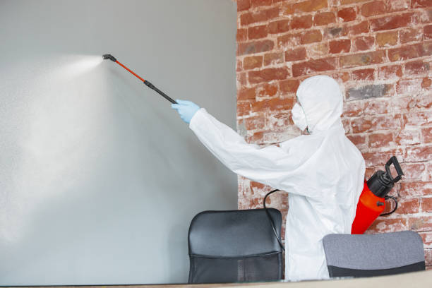 Best Post-Construction Mold Inspection  in Gardende, AL