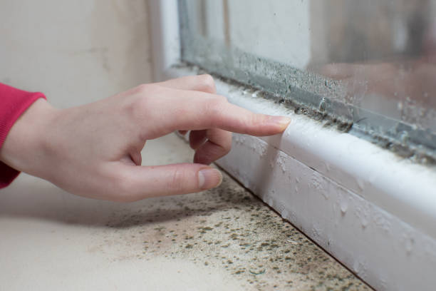 Mold Remediation for Rental Properties in Gardendale, AL