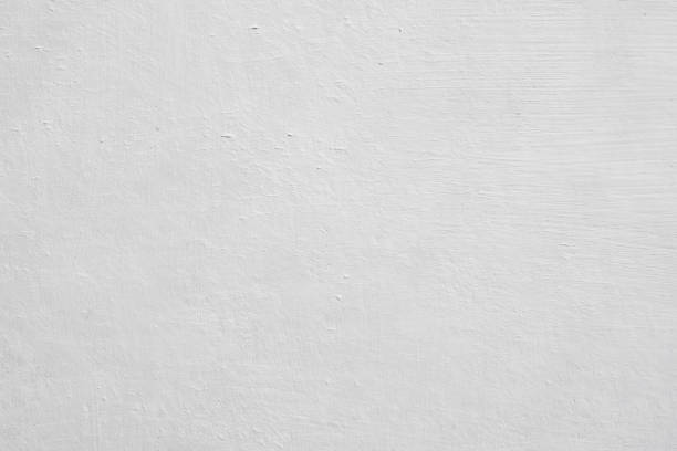 Reliable Gardendale, AL Mold Removal Solutions
